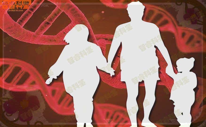 海口DNA亲子鉴定指南【2023最新指南】