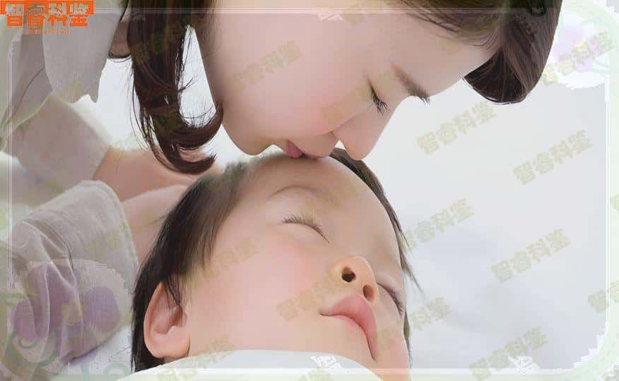 五指山最全亲子鉴定收费标准