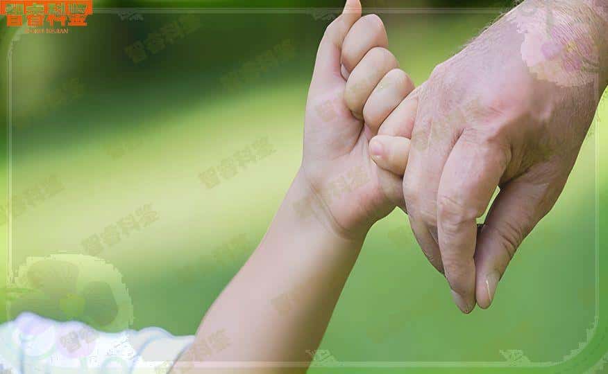 五指山市dna亲子鉴定要多少钱费用呢