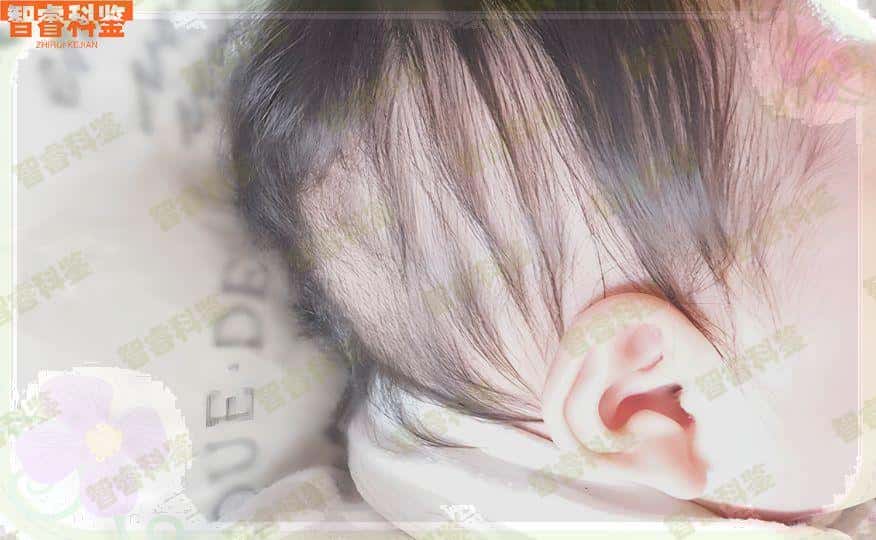 三沙移民亲子鉴定中心、机构一览