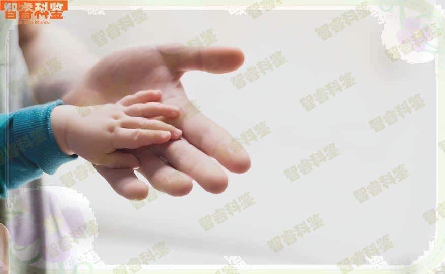 琼海市正规个人亲子鉴定收费标准