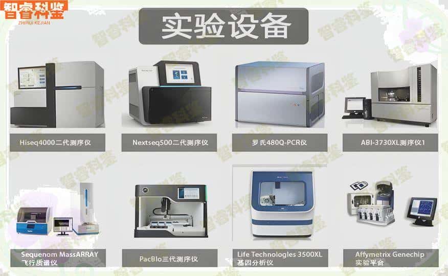 十大排名公开 屯昌DNA亲子鉴定材料