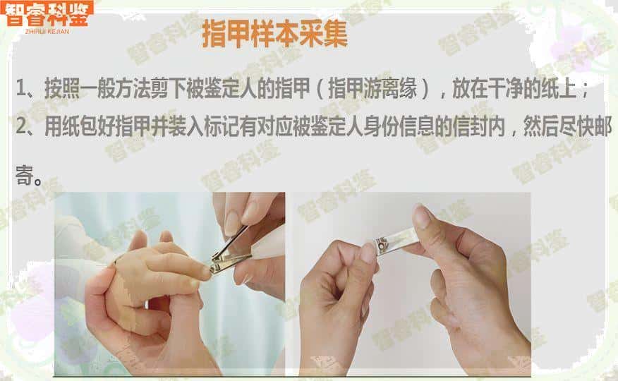 屯昌县司法亲子鉴定价格怎么规定