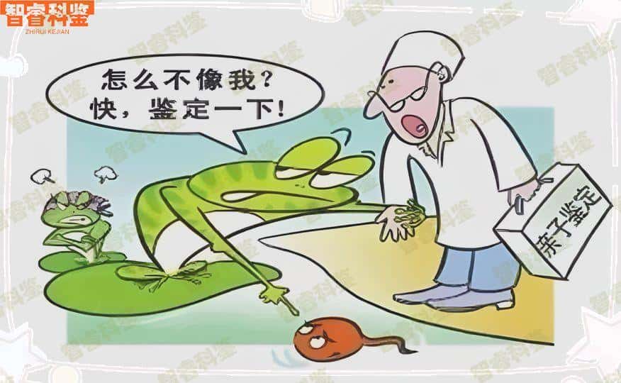 海南琼中县dna亲子鉴定机构一览