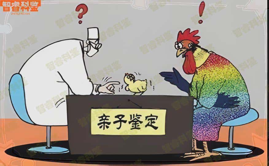 琼中个人隐私亲子鉴定费用需要多少？具体流程有哪些？
