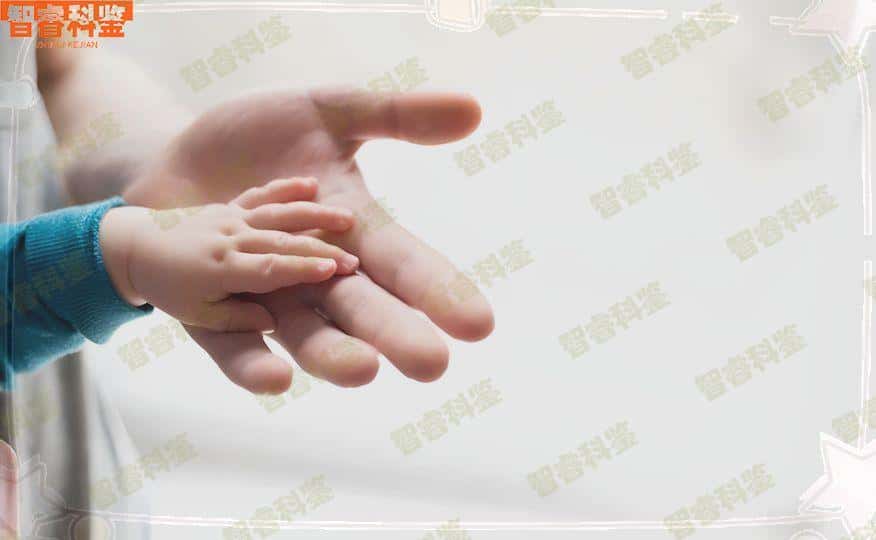 海南省司法亲子鉴定机构查询一览表