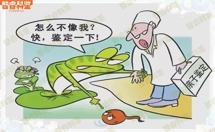 【周口个人亲子鉴定所】亲子鉴定_电话地址