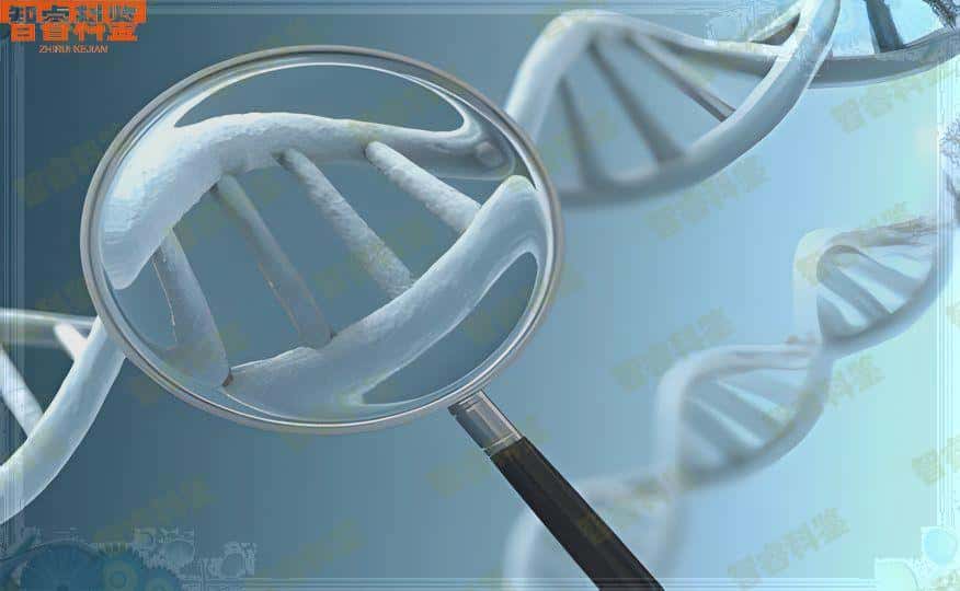 信阳可以做上户口亲子鉴定的9个地方