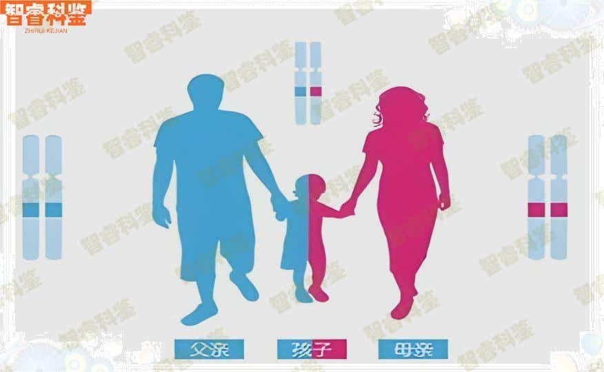 信阳亲子鉴定哪家医院