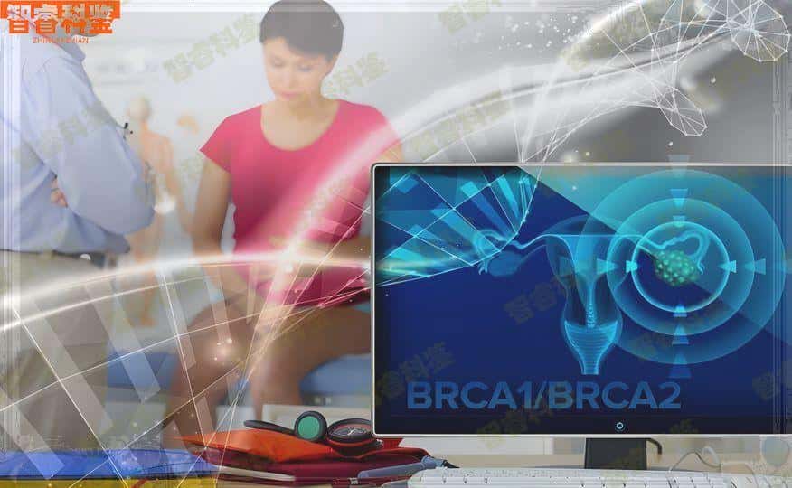 沈丘产前亲子鉴定多少钱