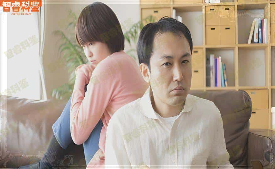 鹤岗市亲子鉴定费用一览