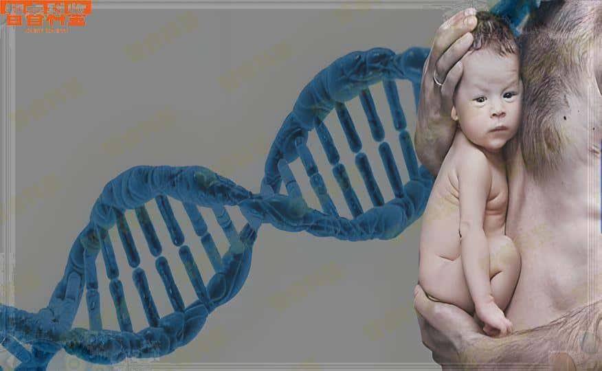 河南济源个人亲子鉴定的流程是怎样的？个人亲缘鉴定费用是多少？
