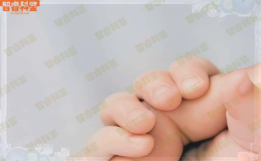长葛从何时开始可以进行亲子鉴定？