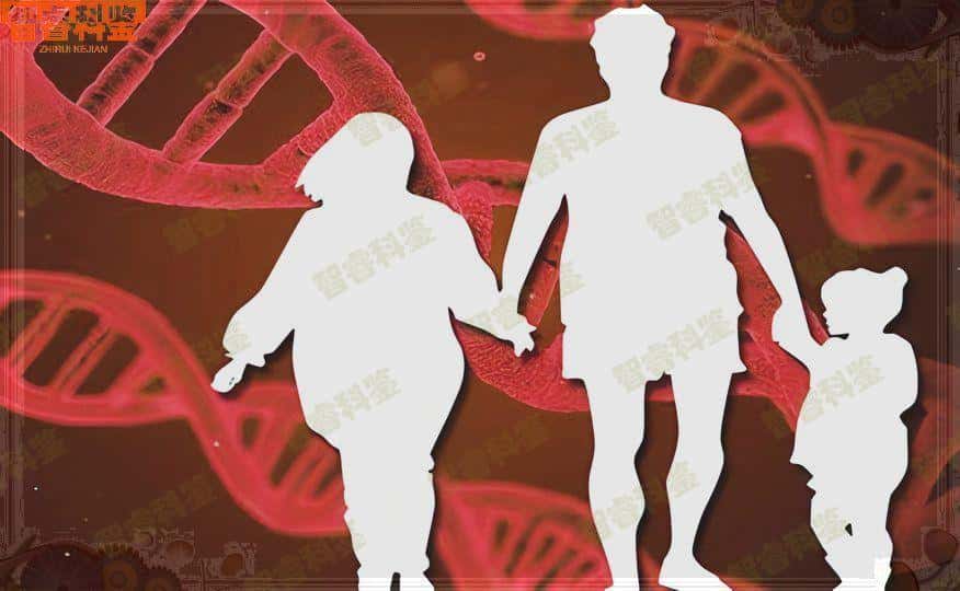 开封杞县亲子鉴定中心地址合集