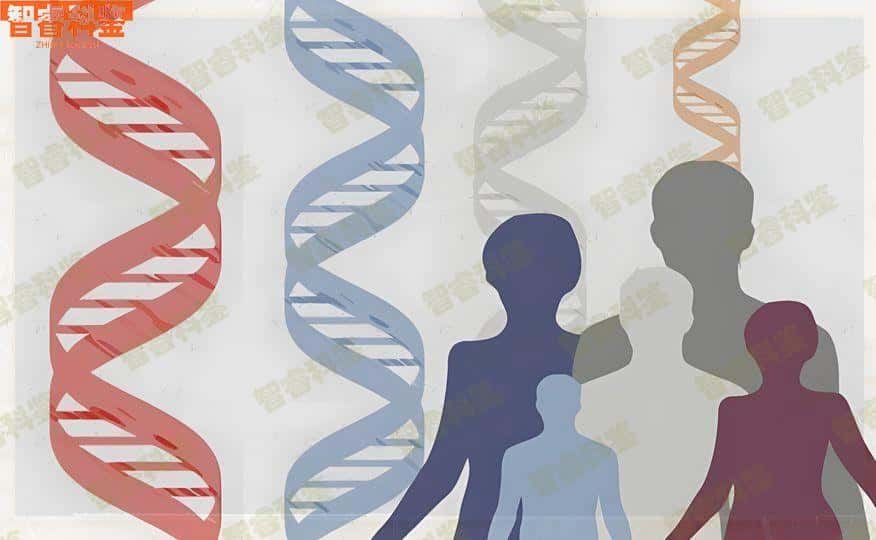 焦作孟州市15家亲子鉴定机构