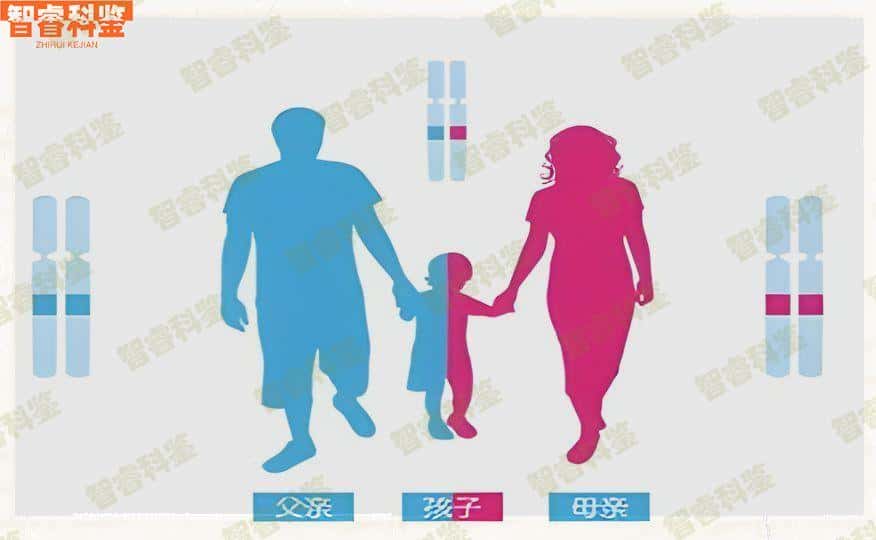 焦作温县6家权威亲子鉴定中心大全