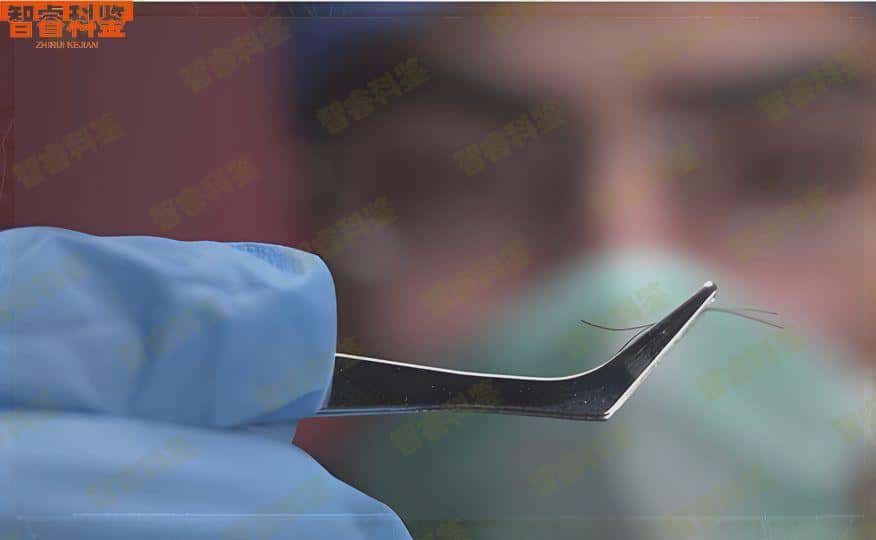商丘睢县亲子鉴定机构查询