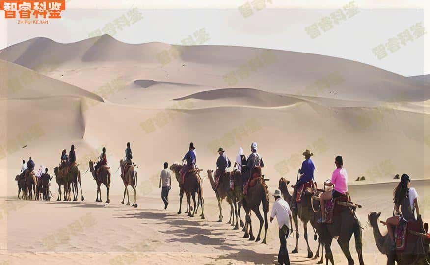 在沈丘做亲子鉴定大概要多少钱