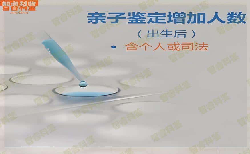 河南太康亲子鉴定多少钱