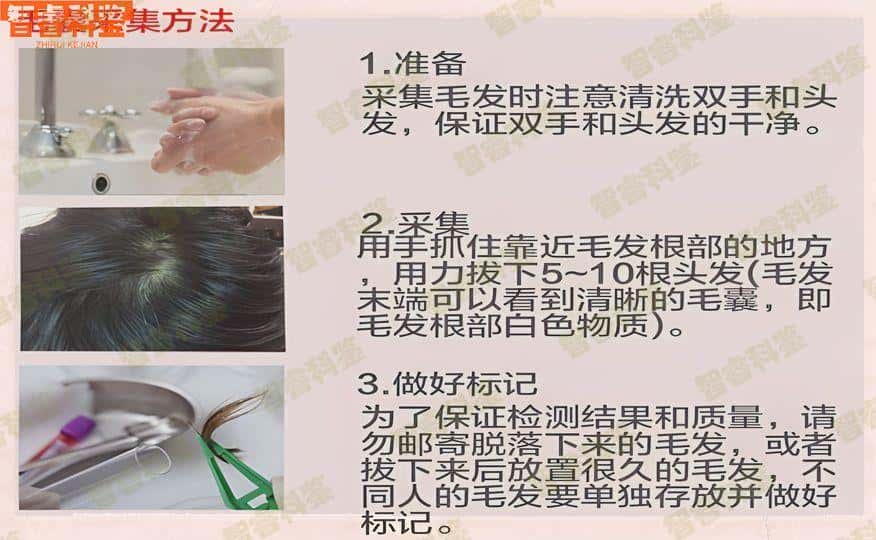 鹤壁做个人亲子鉴定的收费标准
