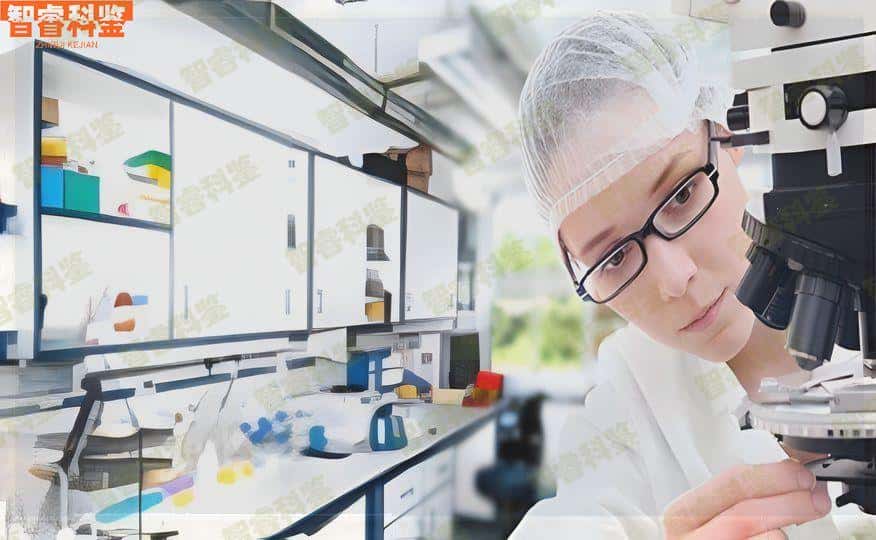 鹤壁浚县亲子鉴定正规机构