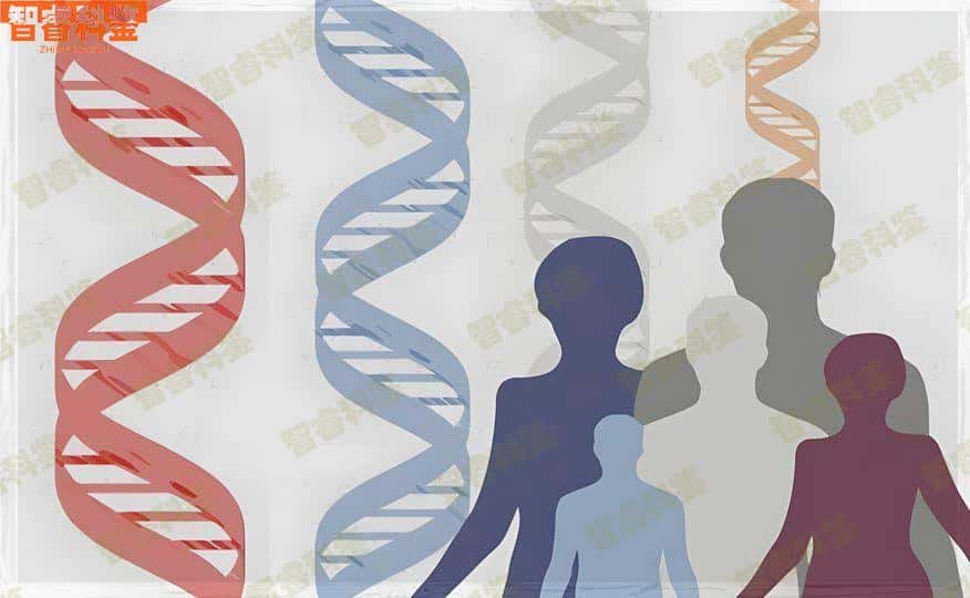 鹤壁可以做升学亲子鉴定的正规机构