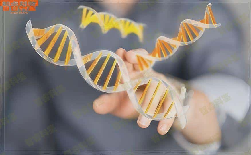 濮阳范县可以做亲子鉴定的正规机构