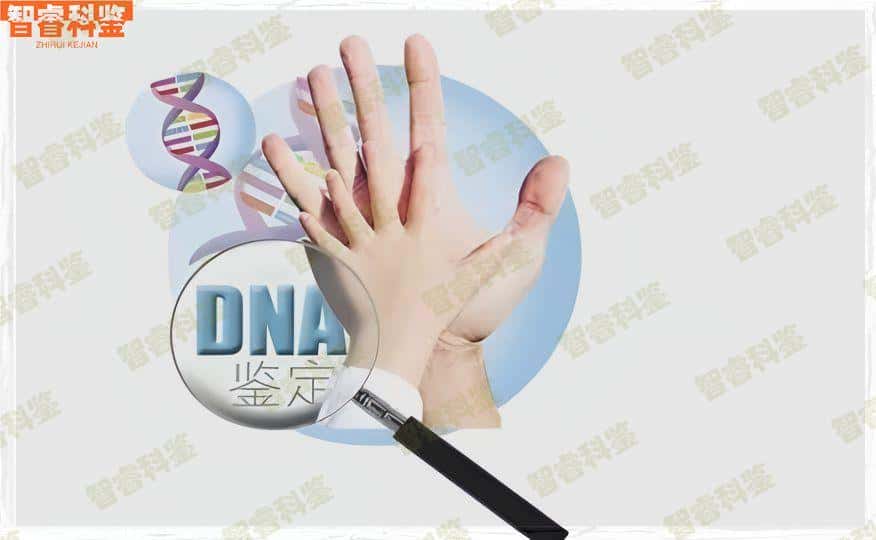 信阳司法亲子鉴定