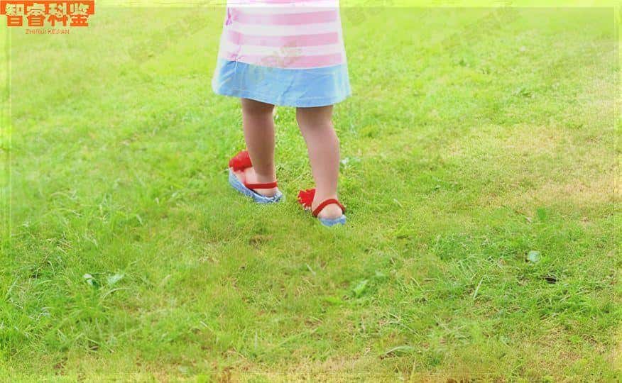 佳木斯10所司法亲子鉴定中心