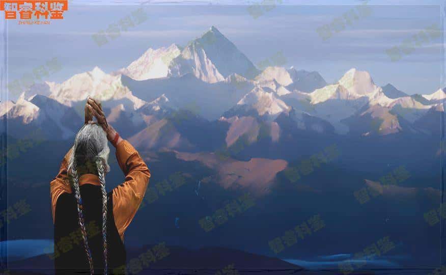 十大排名公开
