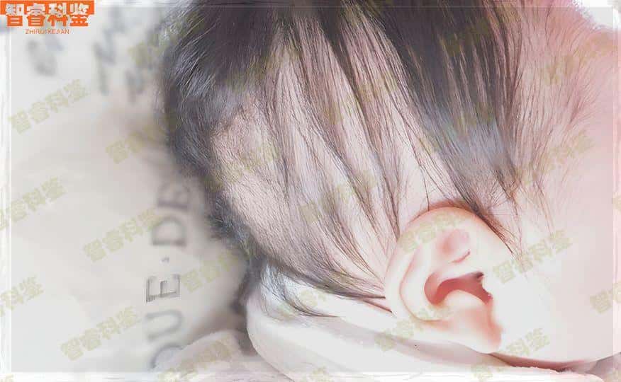 黑河市个人亲子鉴定中心机构11家