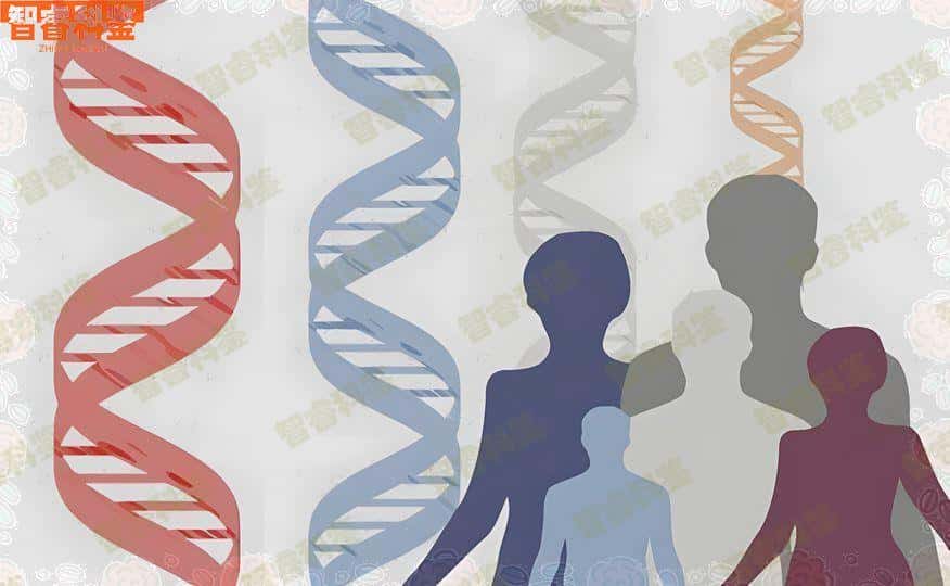绥化肇东市7家个人亲子鉴定机构