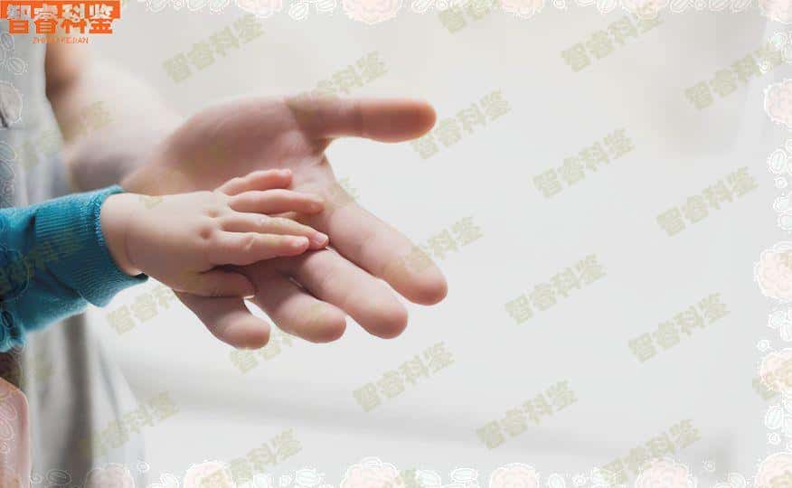 荆州亲子鉴定办理中心地址