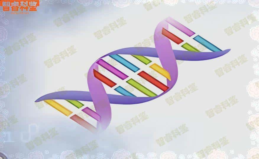 孝感市6家亲子鉴定中心、机构一览