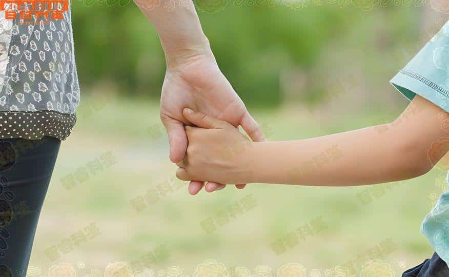 鄂州市落户亲子鉴定收费标准
