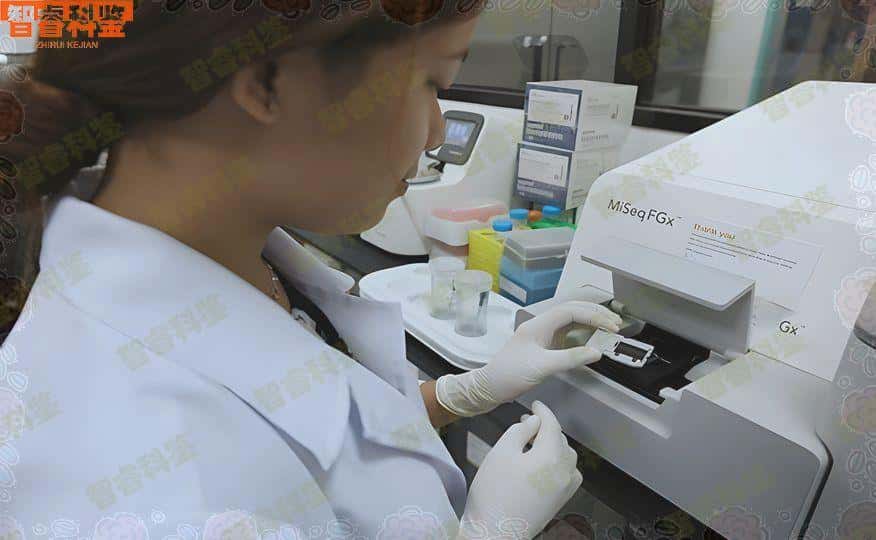随州做亲子鉴定的地方