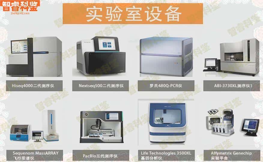 仙桃市正规亲子鉴定办理中心地址一览