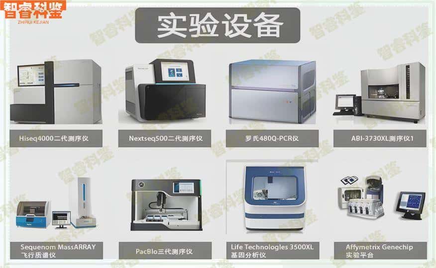 钟祥最全上户口亲子鉴定费用标准一览表