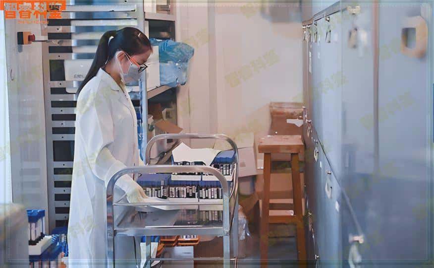 荆州正规十大亲子鉴定中心