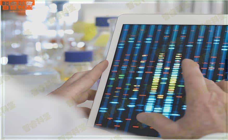 广水可以做升学亲子鉴定的正规机构