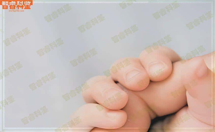 赤壁市司法亲子鉴定办理中心地址