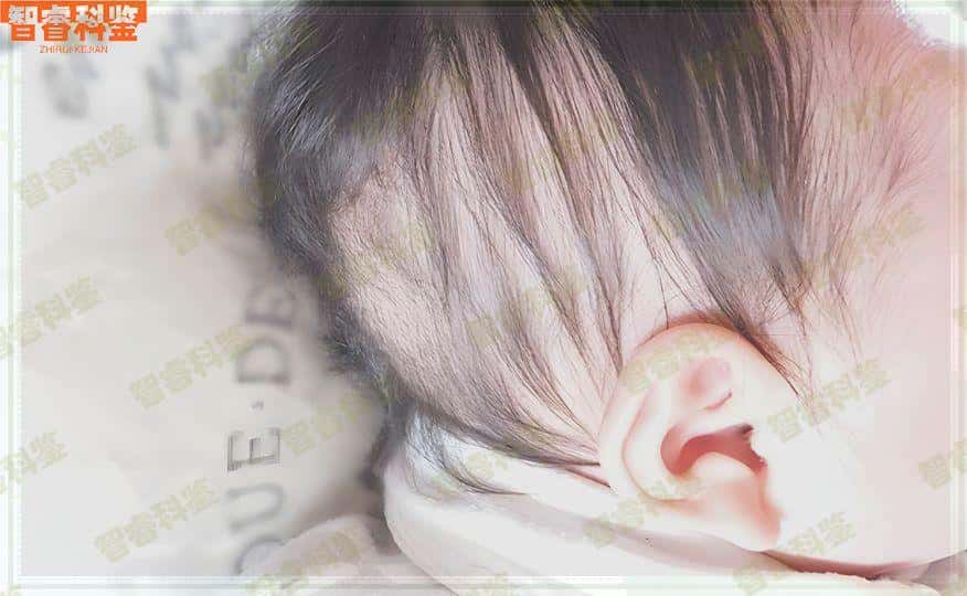 云梦县法医鉴定中心可以做抽血亲子鉴定吗