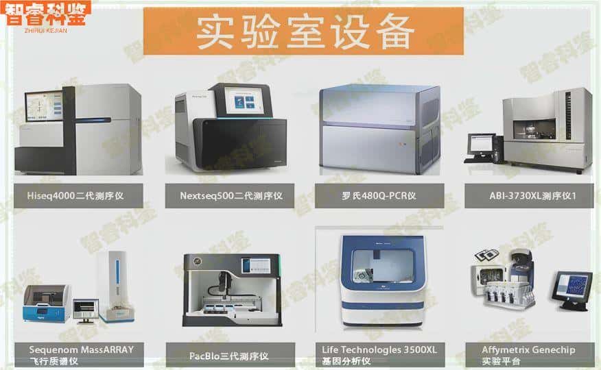 常宁亲子鉴定办理中心地址
