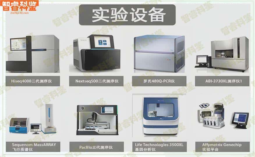 大悟县能做亲子鉴定吗