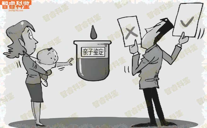 大悟县司法亲子鉴定需要多少钱，费用明细都在这