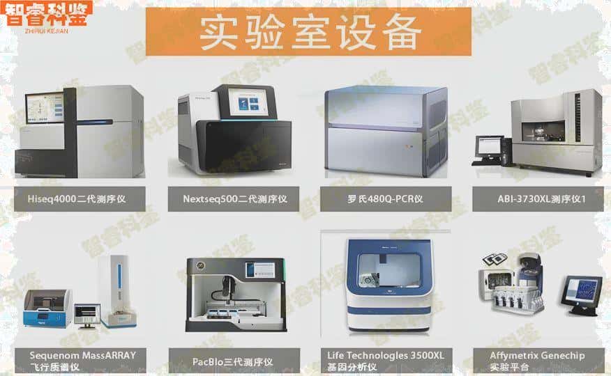 枝江可以做升学亲子鉴定的正规机构