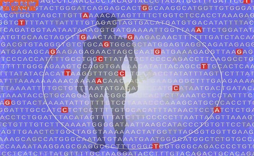 怀化亲子鉴定的方法的鉴定亲子价格统一