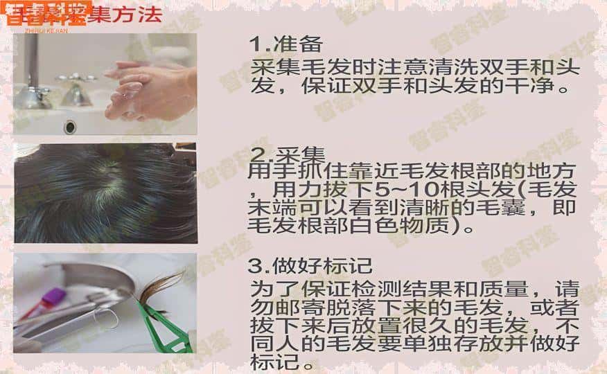 湘西法医鉴定中心亲子鉴定网上预约