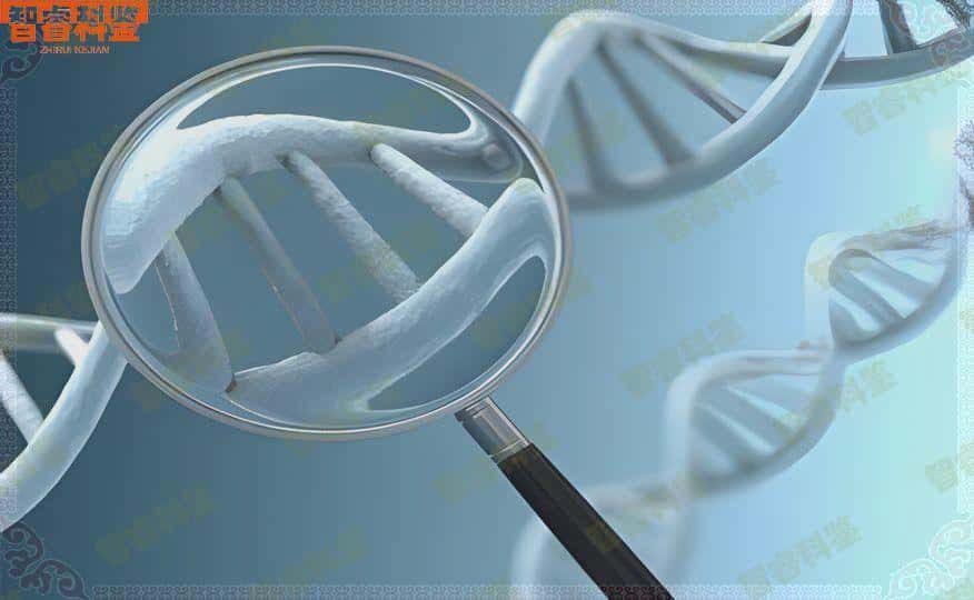 吉首可以做亲子鉴定的正规机构一共15家