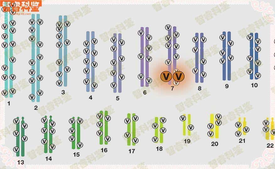 冷水江15家个人亲子鉴定中心地址合集
